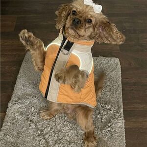 Dog Winter Jacket with Harness Built in